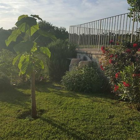 Casa La Pineta Villa Pievescola ภายนอก รูปภาพ