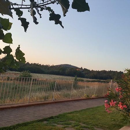 Casa La Pineta Villa Pievescola ภายนอก รูปภาพ
