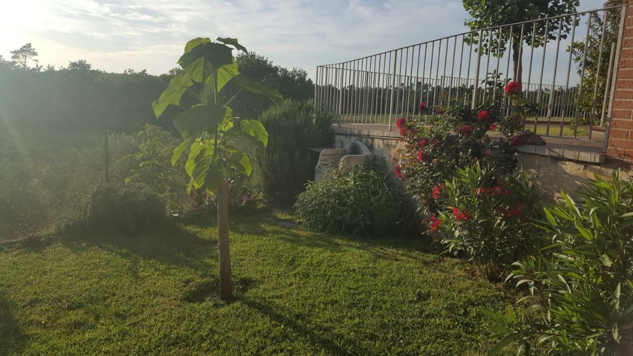 Casa La Pineta Villa Pievescola ภายนอก รูปภาพ